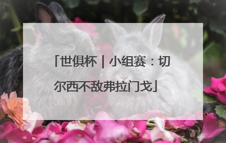 世俱杯｜小组赛：切尔西不敌弗拉门戈