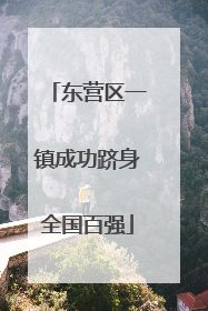 东营区一镇成功跻身全国百强