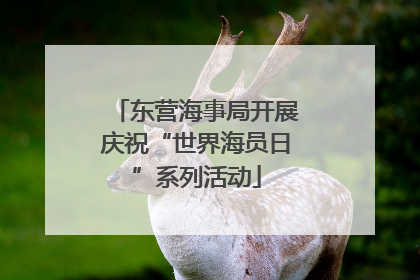 东营海事局开展庆祝“世界海员日”系列活动