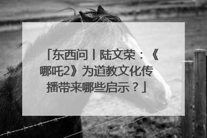 东西问丨陆文荣：《哪吒2》为道教文化传播带来哪些启示？