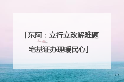 东阿：立行立改解难题 宅基证办理暖民心