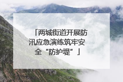 两城街道开展防汛应急演练筑牢安全“防护堤”