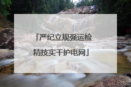 严纪立规强运检 精技实干护电网