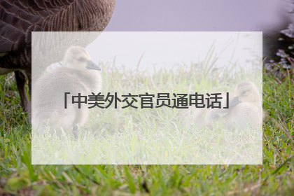 中美外交官员通电话
