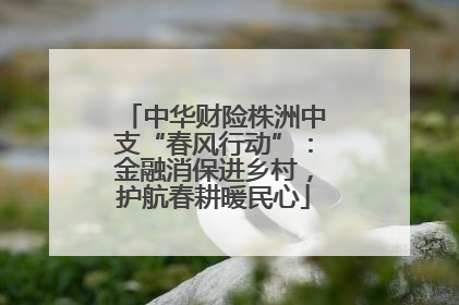 中华财险株洲中支“春风行动”：金融消保进乡村，护航春耕暖民心