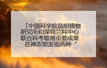 中国科学院昆明植物研究所和深圳兰科中心联合科考取得重要成果 在神农架发现两种“国保”级兰花