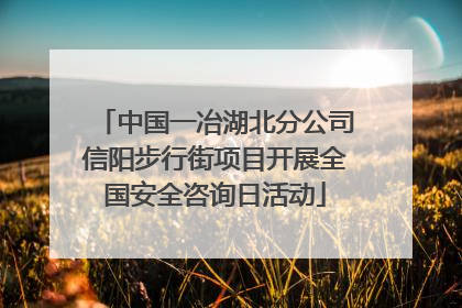 中国一冶湖北分公司信阳步行街项目开展全国安全咨询日活动