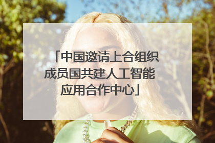 中国邀请上合组织成员国共建人工智能应用合作中心