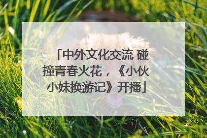 中外文化交流 碰撞青春火花，《小伙小妹换游记》开播