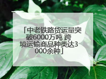 中老铁路货运量突破6000万吨 跨境运输商品种类达3000余种