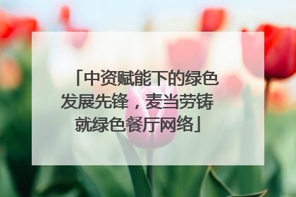 中资赋能下的绿色发展先锋，麦当劳铸就绿色餐厅网络