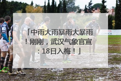 中雨大雨暴雨大暴雨！刚刚，武汉气象官宣：18日入梅！