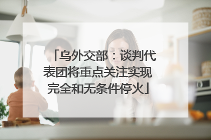 乌外交部：谈判代表团将重点关注实现完全和无条件停火