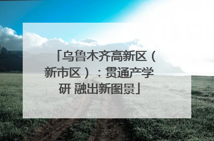 乌鲁木齐高新区（新市区）：贯通产学研 融出新图景