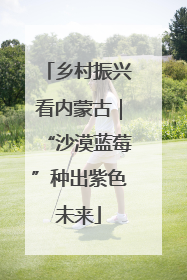 乡村振兴看内蒙古｜“沙漠蓝莓”种出紫色未来