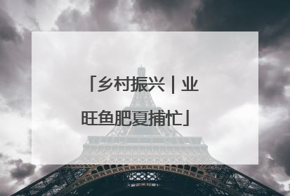 乡村振兴｜业旺鱼肥夏捕忙