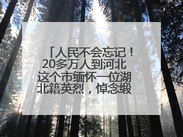 人民不会忘记！20多万人到河北这个市缅怀一位湖北籍英烈，悼念缎带挂满纪念馆