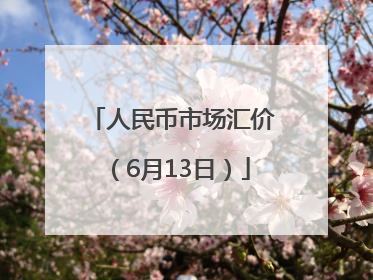 人民币市场汇价（6月13日）
