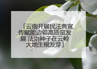 云南开展民法典宣传赋能边疆高质量发展 法治种子在云岭大地生根发芽