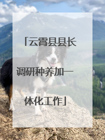云霄县县长调研种养加一体化工作