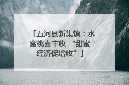 五河县新集镇：水蜜桃喜丰收 “甜蜜经济促增收”