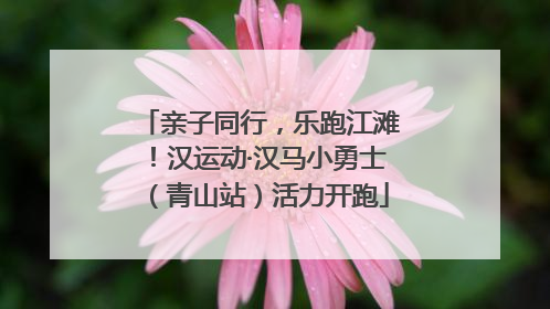 亲子同行，乐跑江滩！汉运动·汉马小勇士（青山站）活力开跑