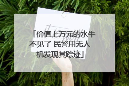 价值上万元的水牛不见了 民警用无人机发现其踪迹