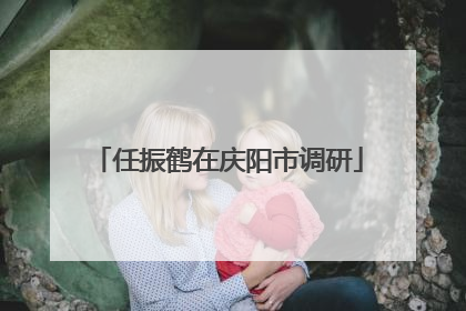 任振鹤在庆阳市调研