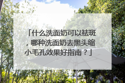 什么洗面奶可以祛斑，哪种洗面奶去黑头缩小毛孔效果好指南？