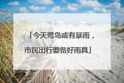 今天鹭岛或有暴雨，市民出行要备好雨具