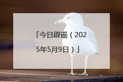 今日辟谣（2025年5月9日）