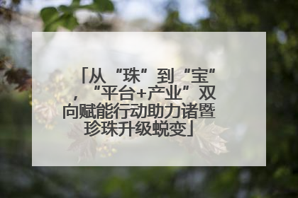 从“珠”到“宝”，“平台+产业”双向赋能行动助力诸暨珍珠升级蜕变