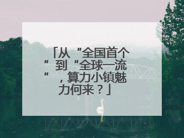 从“全国首个”到“全球一流”，算力小镇魅力何来？