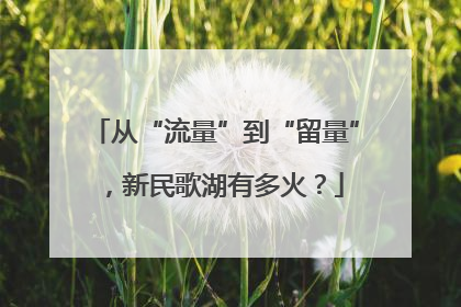 从“流量”到“留量”，新民歌湖有多火？