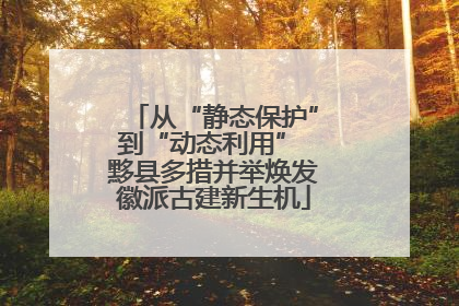 从“静态保护”到“动态利用” 黟县多措并举焕发徽派古建新生机