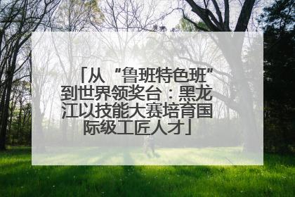 从“鲁班特色班”到世界领奖台：黑龙江以技能大赛培育国际级工匠人才