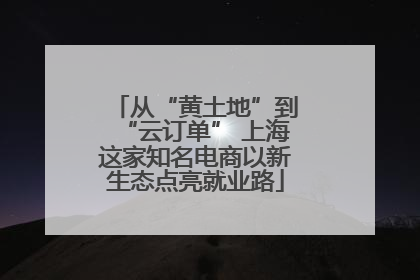 从“黄土地”到“云订单” 上海这家知名电商以新生态点亮就业路
