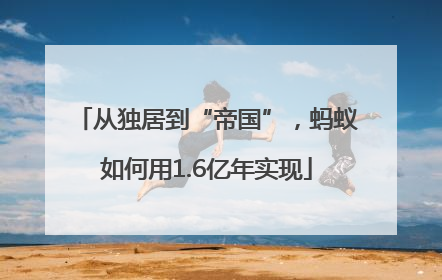 从独居到“帝国”，蚂蚁如何用1.6亿年实现
