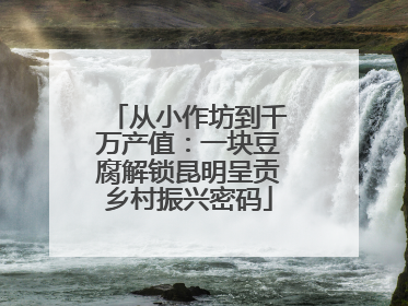 从小作坊到千万产值：一块豆腐解锁昆明呈贡乡村振兴密码