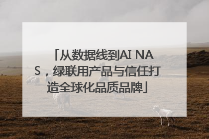 从数据线到AI NAS，绿联用产品与信任打造全球化品质品牌