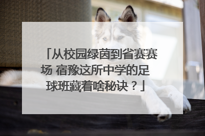 从校园绿茵到省赛赛场 宿豫这所中学的足球班藏着啥秘诀？