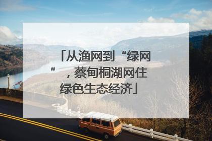 从渔网到“绿网”，蔡甸桐湖网住绿色生态经济