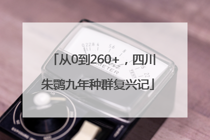 从0到260+，四川朱鹮九年种群复兴记
