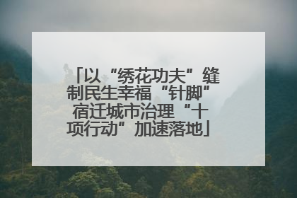 以“绣花功夫”缝制民生幸福“针脚” 宿迁城市治理“十项行动”加速落地