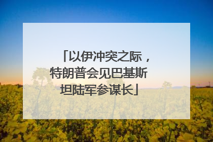 以伊冲突之际，特朗普会见巴基斯坦陆军参谋长