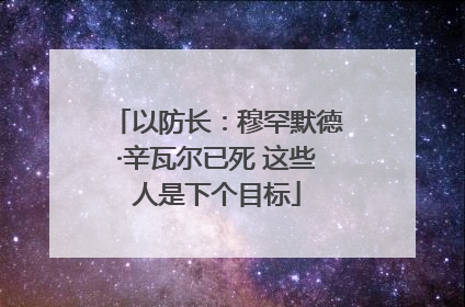 以防长：穆罕默德·辛瓦尔已死 这些人是下个目标