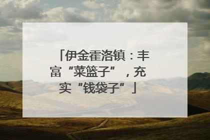 伊金霍洛镇：丰富“菜篮子”，充实“钱袋子”