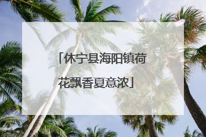 休宁县海阳镇荷花飘香夏意浓