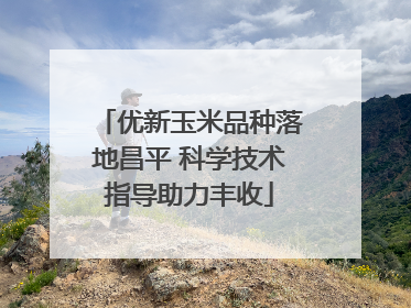 优新玉米品种落地昌平 科学技术指导助力丰收