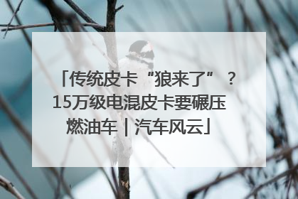 传统皮卡“狼来了”？15万级电混皮卡要碾压燃油车｜汽车风云